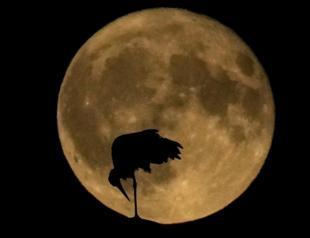 Two supermoons in August mean double the stargazing fun