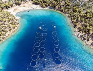 Greek islanders dismayed by plan to scale up fish farming
