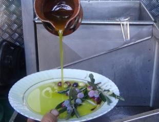 Türkiye bans olive oil exports for three months