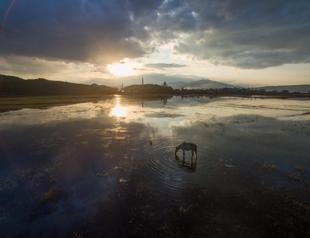 Several natural areas registered as ‘strictly protected’