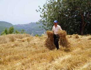 Agriculture and food exports generate $12.2 billion in revenue