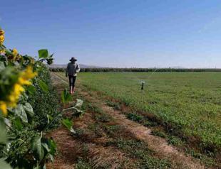 Deeper wells threatening Türkiyes breadbasket