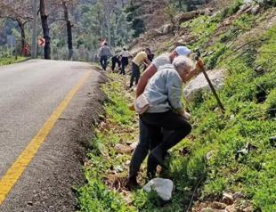 Group of volunteers re-green burnt areas in the south