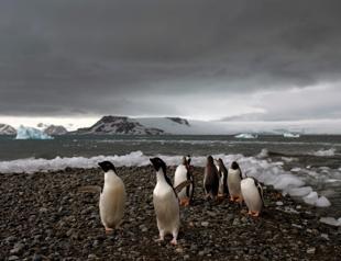 Even frozen Antarctica walloped by climate extremes