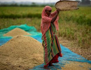 El Nino threatens food security