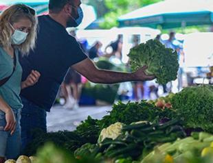 Agricultural industrial zones to be established: Minister