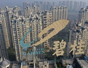 Chinese property giant Country Garden under pressure
