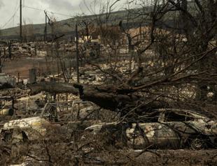 Number of dead from Maui wildfires reaches 99
