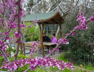 Unique campus garden home to exotic species