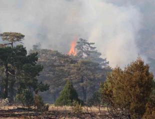 Country breaks temperature record as wildfires continue