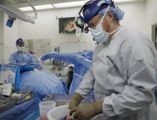 US surgeons say pig kidney functional in human for more than a month