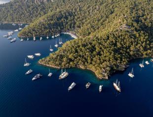 ‘AI should be used to lure tourists to Türkiye’