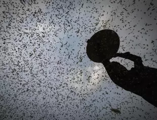 Sweltering temperatures expected to return