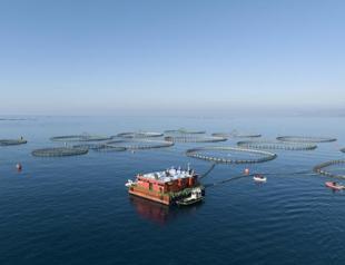 Ministry tightens inspections on illegal fishing