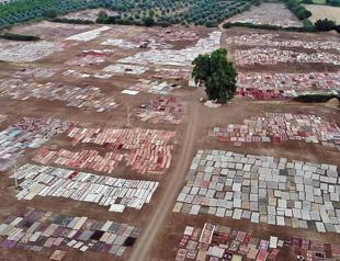 Guards keep watch on carpet fields in southern city
