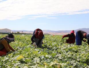 Annual growth in agriculture input costs slows