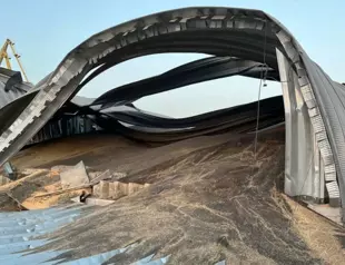 Russian drone hits grain infrastructure in Odesa region: governor