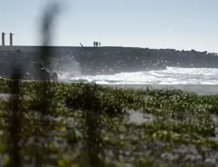 Fukushima nuclear plant begins releasing treated radioactive wastewater into sea