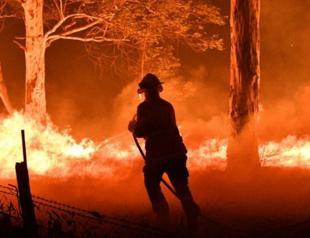 Global warming predicted to cost Australia billions