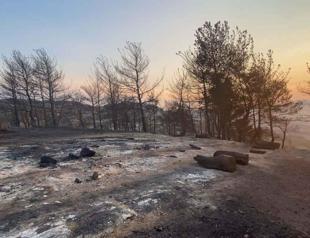 Çanakkale wildfire brought under control after 48 hours