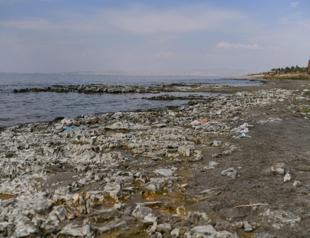Animals are thirsty: Dust and bones on Türkiye’s shrinking lake