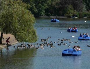 UK energy bills to fall again