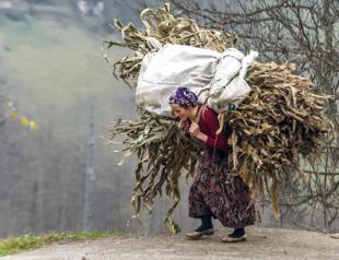 Global warming ‘to gravely influence evaporation rate in Black Sea region’
