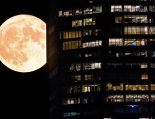 Indian rover confirms sulphur on Moons south pole