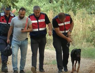 Discovery of missing economists dog fails to provide clues