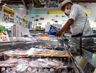 Japan fishermen seek halt to Fukushima water release