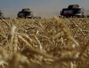 Turkish companies ready to process Russian grain: Association