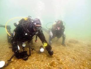 Marmaras pinas offers hope for mucilage recovery