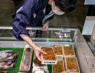 First phase of Fukushima water release to end Sept 11