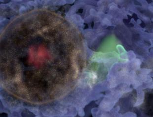 Billion-light-year-wide bubble of galaxies discovered