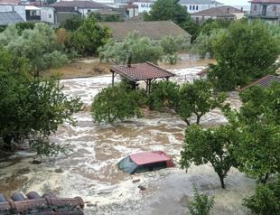 Floods wiped out quarter of Greek farm produce