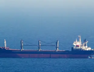 First cargo ships sail to Ukraine after grain deal collapse: official