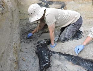 Worlds oldest wooden structure discovered in Zambia