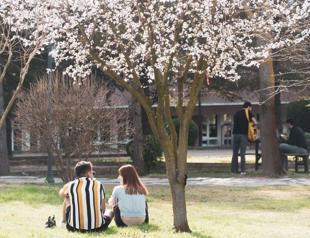 Ministry expands ban on alcohol, tobacco sales