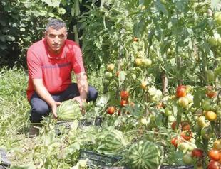 Project launched to propagate endangered seeds