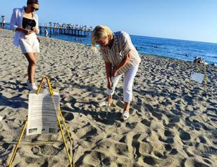 Hatching season of sea turtles over in Çıralı Beach