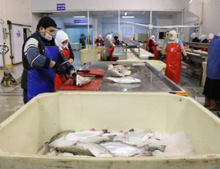 Turkish salmon tops aquatic export chart