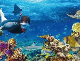 Mediterranean Basin to warm more than rest of world: Study