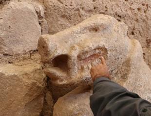 ‘Göbeklitepe discoveries never end,’ says head of excavations