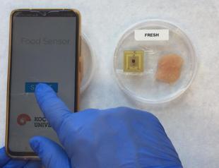 Turkish scientists develop sensor to detect spoilage