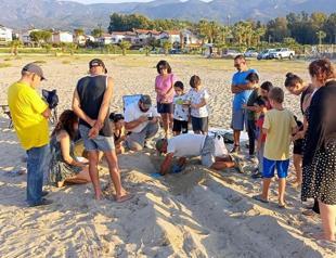 Aydın witnesses thrive in Caretta caretta nests