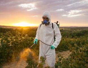 Pesticide use in Türkiye at alarming level: Report