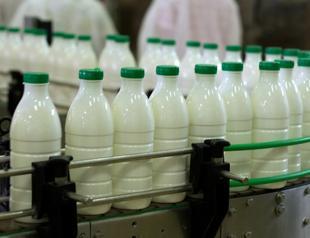Milk production increases in August