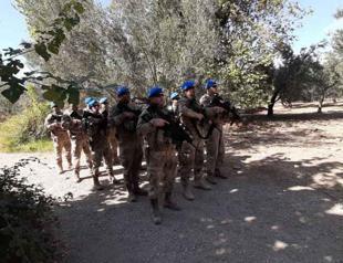 Security forces patrol olive gardens at harvest season