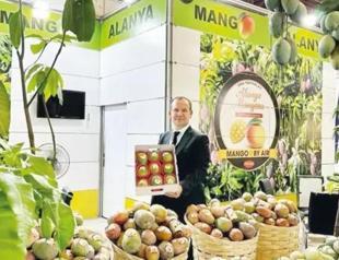 A grower working hard to make Turkish mango global brand