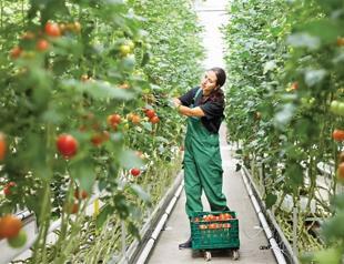 Geothermal energy ‘might reshape agriculture’ in country